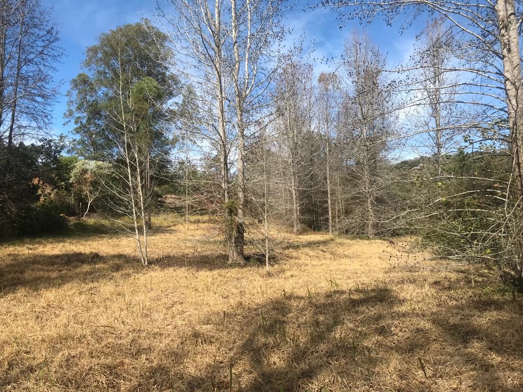 terreno-plano-a-venda-no-condominio-fechado-parque-dos-manacas-em-jundiaisp - Salles Imóveis Itupeva e Jundiai - SP